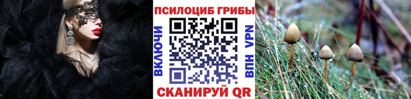 Галлюциногенные грибы GOLDEN TEACHER  Покачи 